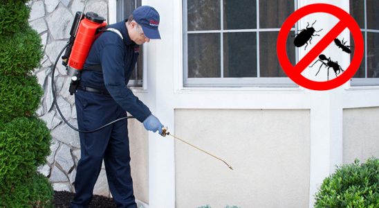Nazilli Hamam Böceği İlaçlama böcek ilaçlama ve haşere kontrolü — ilaclama-tr.com